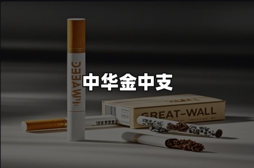 中华金中支